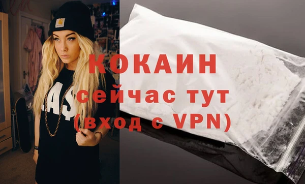 молекула духа Богородск