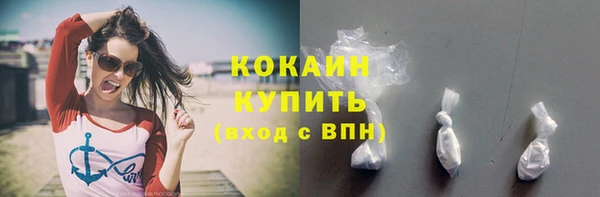 молекула духа Богородск