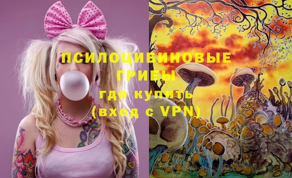 молекула духа Богородск