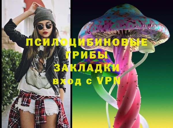 бошки Богородицк